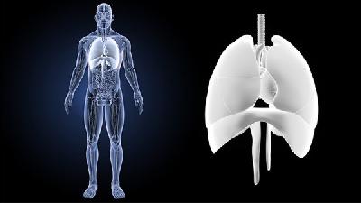 間質(zhì)性肺纖維化治療方法