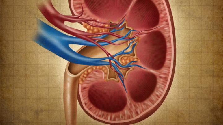 肾萎缩能不能治愈呢