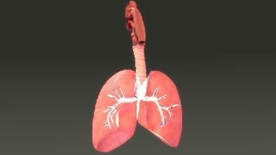 得了肺纤维化是否能治愈