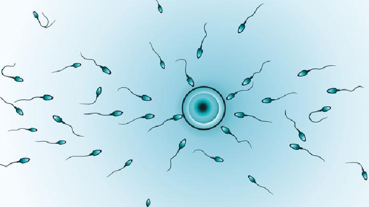 染色体结构异常与男性不育