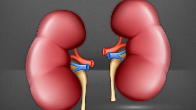 肾病综合征的病因有哪些