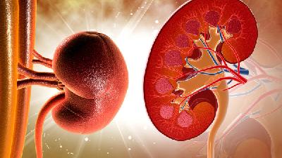 慢性腎炎是怎么回事