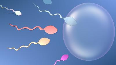 男性不育检查什么