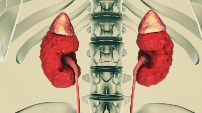 慢性肾衰竭预防措施