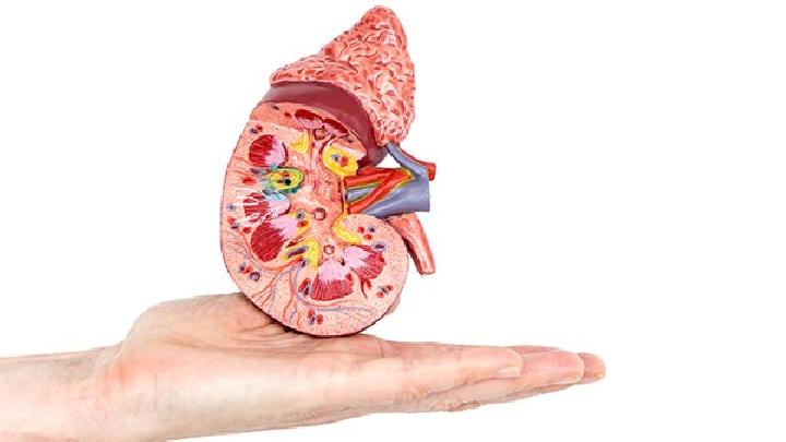 紫癜性腎炎的分類