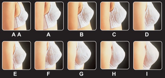 女性胸围尺寸：女性标准三围尺寸对照表（最全胸围对照）