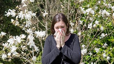 花粉容易引起过敏性鼻炎 你知道这是为什么吗?