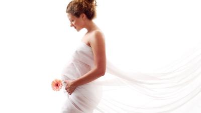 孕妇进补推荐三款食谱 孕妇过量服用人参小心死胎