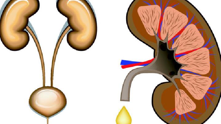 女性腎盂腎炎應(yīng)該如何治療