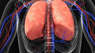 了解一下肺纤维化症状治疗方法都有哪些
