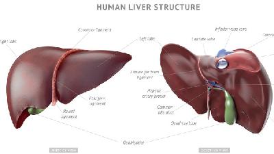 了解一下肝硬化传染吗