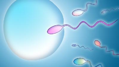 男性不育能吃什么可提高精子活力