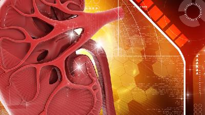 中医治疗慢性肾小球肾炎