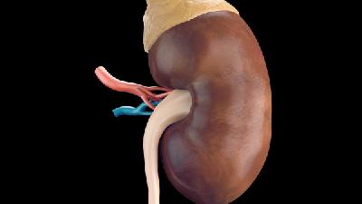 尿毒症是怎样形成的