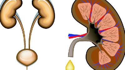 關(guān)于治療慢性腎小球腎炎的方法