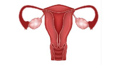 输卵管炎对女性有什么危害