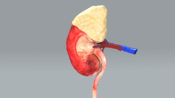 慢性腎衰竭的治療方法