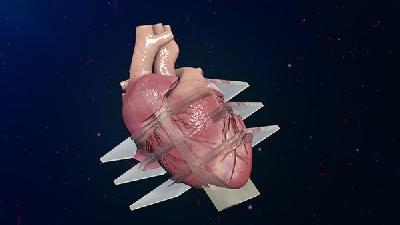 心肌缺血保护作用的研究概况
