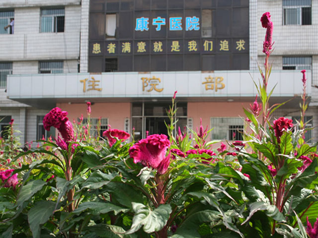 鞍山市康宁医院