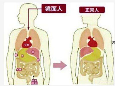 jpg 未标题-9.jpg