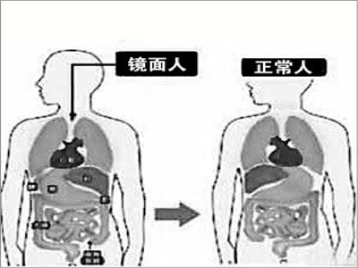 jpg 未标题-8.jpg