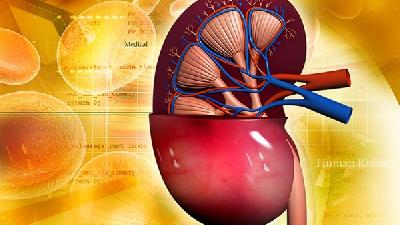 肾囊肿的疾病介绍