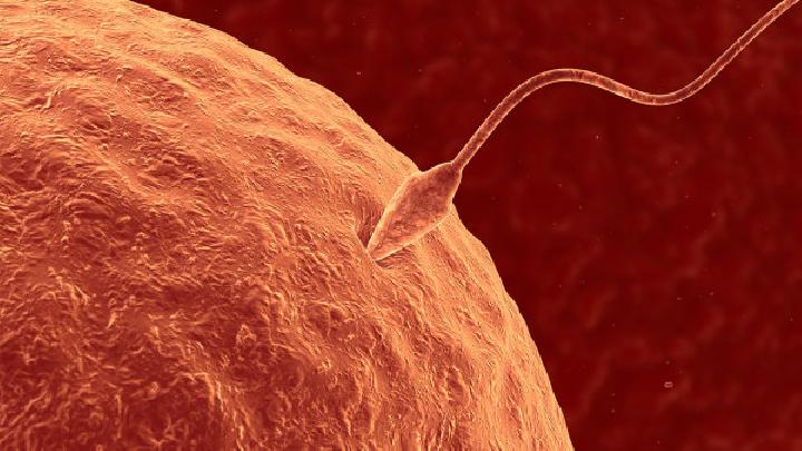 夏季精子也会中暑10招助你养出好精子