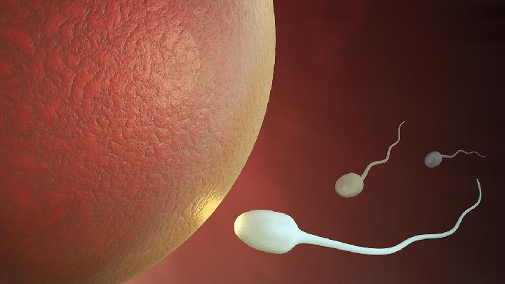 生二胎前先查精子质量合格精子有“三大指标”