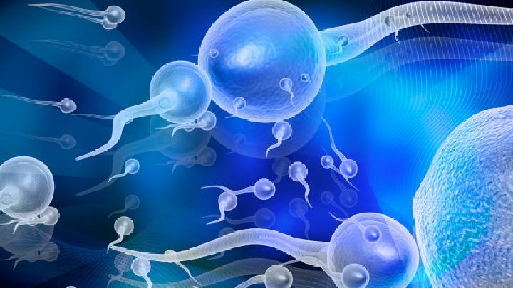 关于精子的哪些事你知道吗？