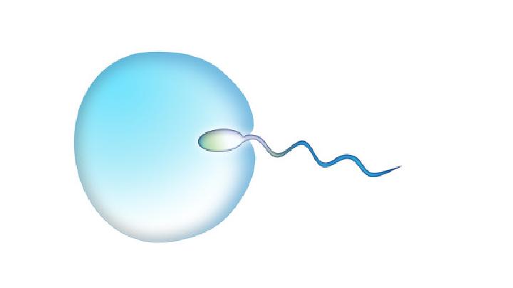 关于精子的哪些事你知道吗？