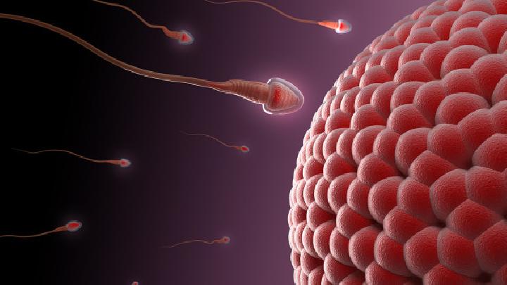 精子在子宫内可以存活多久？