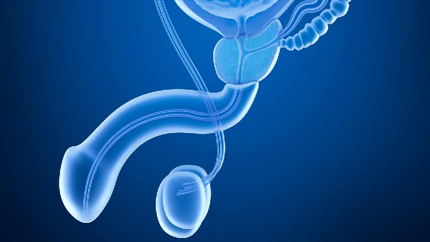 男人前列腺增生对小便有哪些影响 前列腺增生于小便带来四大影响