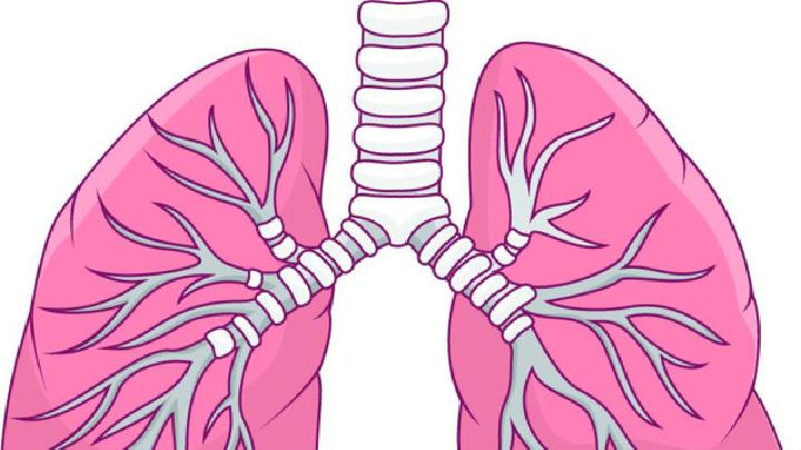 纤维肺是什么病