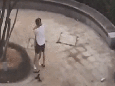 gif 未asfv标题-1.gif