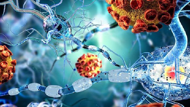 梅毒螺旋体有危害吗