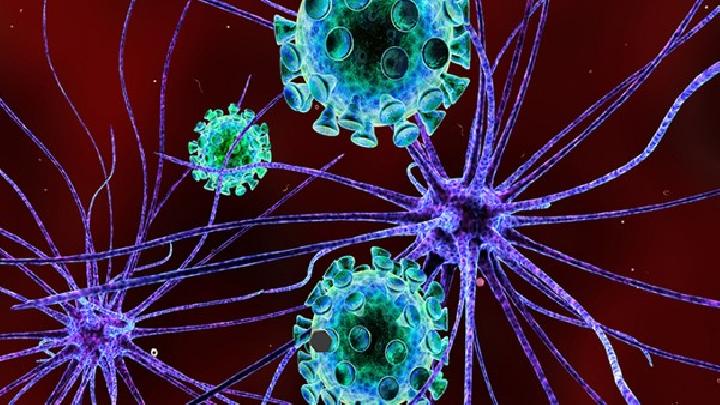 导致梅毒的病因一般是什么
