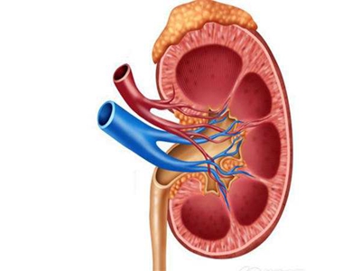 IGA肾炎的危害是什么