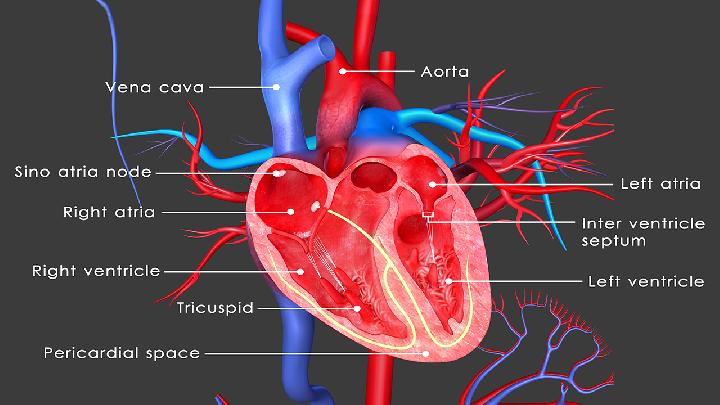 心律失常疾病的常见症状是什么
