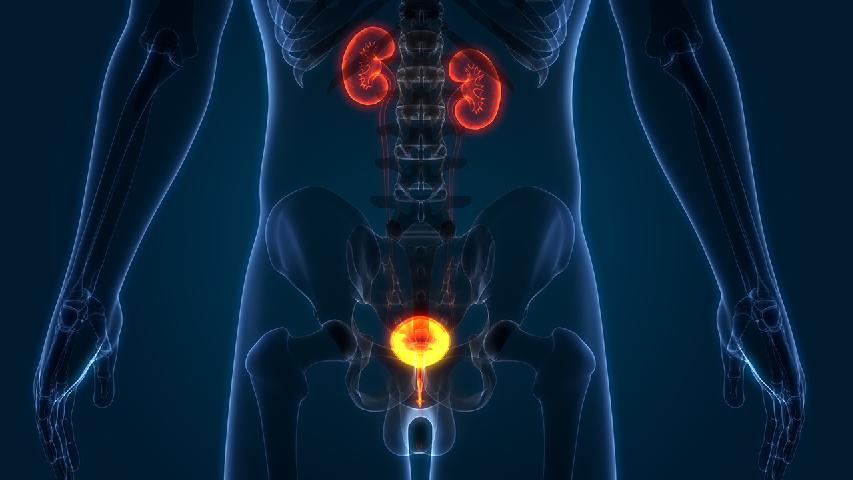 导致前列腺增生的病理是什么 详解前列腺增生的病理问题