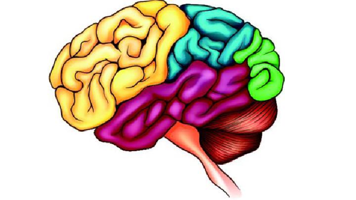 脑萎缩在不同阶段的症状表现有哪些
