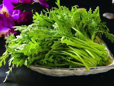 这种菜降压效果竟然比芹菜还好! - 复禾健康