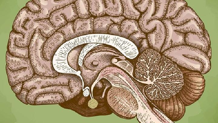 脑脓肿有哪些表现及如何诊断？