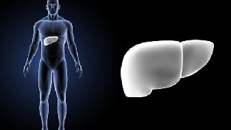 男性不孕的罪魁祸首