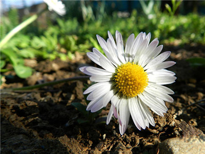 1516254644878092.jpg 2¸Ê¾Õ_¸±±¾.jpg