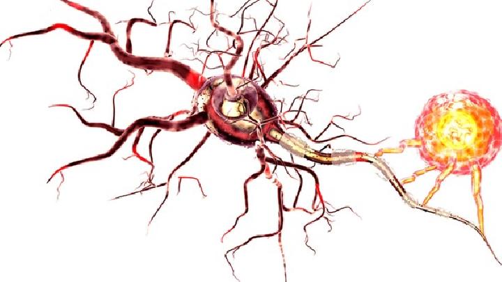 三期梅毒应该做哪些检查