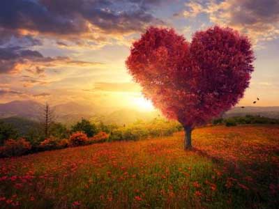 2018年5月5日是什么日子