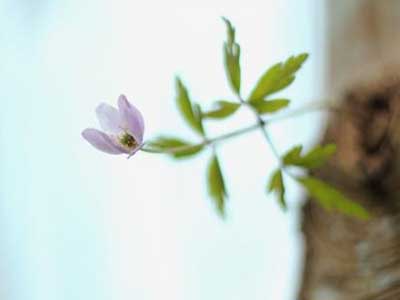 2018年6月8日是什么日子