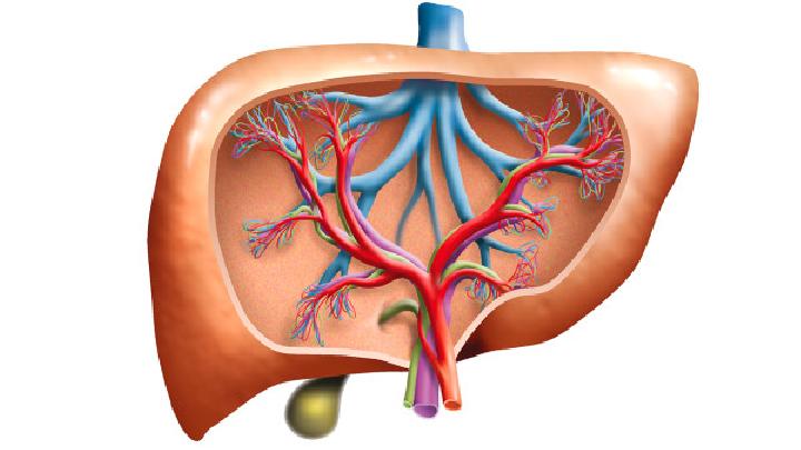 急性动脉栓塞是由什么原因引起的？