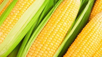 玉米减肥去水肿应该如何选? 教你如何选玉米有效去除水肿