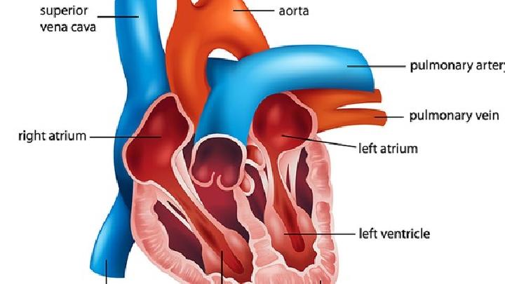 冠状动脉起源异常的中医治疗